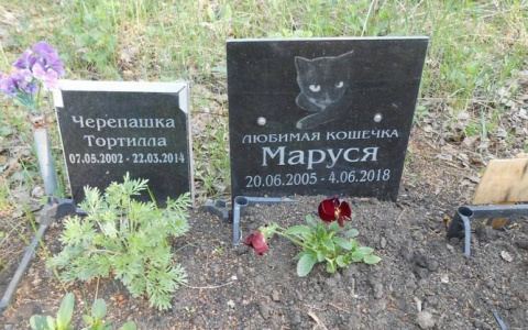 Что будет, если похоронить домашнее животное на садовом участке?