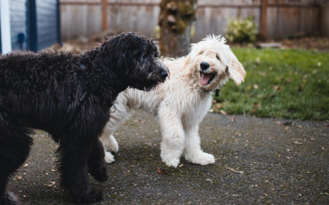 Стрельцы могут сбиться с пути, а Рыбам нужна передышка: гороскоп на неделю