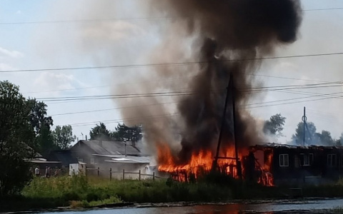 Соцсети: из-за тополиного пуха в Кировской области загорелся дом