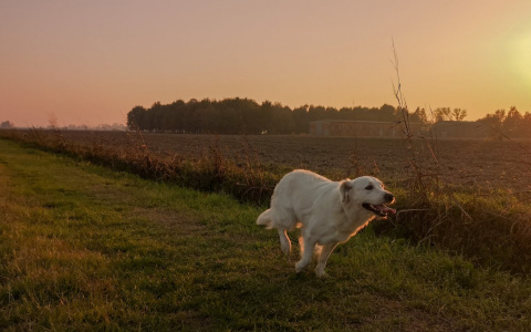Дев проверят на прочность, а Скорпионам пора притормозить: гороскоп на среду