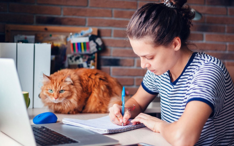 Видеосервис Wink представляет новый обучающий раздел «Академия»