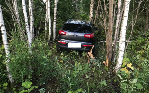 В Кировской области в серьезном ДТП пострадали 2 ребенка