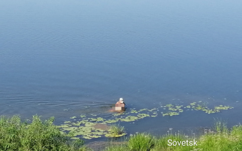 В Кировской области на Пижме к берегу прибило тело женщины