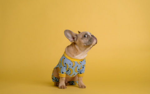 Раки избавятся от скелетов в шкафу, а Весы поддадутся эмоциям: гороскоп на пятницу