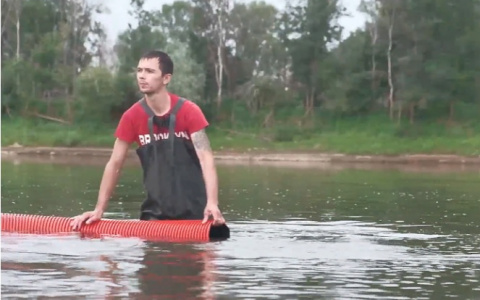 В Вятку выпустили 20 тысяч мальков стерляди