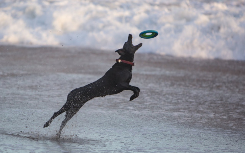 Раки будут агрессивны, а Скорпионы начнут жизнь с чистого листа: гороскоп на вторник