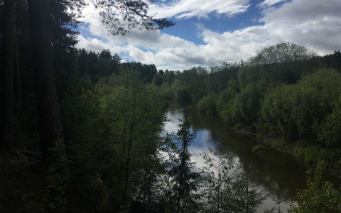 На берегу реки в Кировской области спустя 2 дня нашли пропавшую пенсионерку