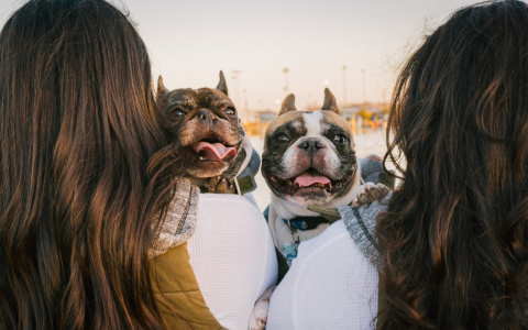 Тельцы закрутят роман, а у Львов будет преимущество: гороскоп на среду