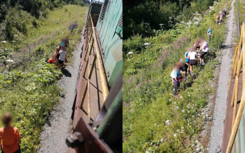 В Кировской области машинисту пришлось экстренно затормозить из-за детей на путях