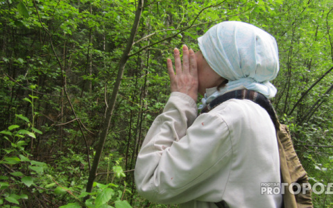 Кировская пенсионерка ушла в лес за грибами и заблудилась