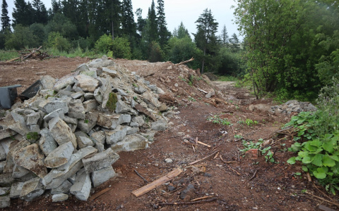 В Кирове начали восстанавливать лес, который был залит бетоном