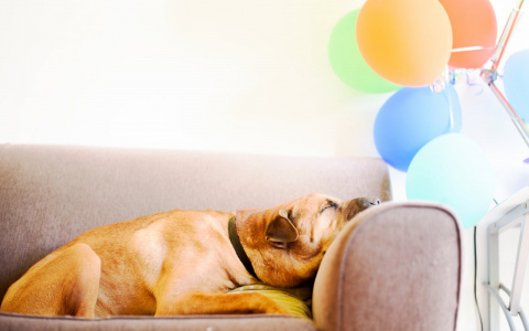 Девам нельзя торопиться, а Стрельцам придется залечь на дно: гороскоп на пятницу