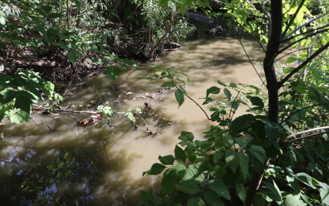 «Вода грязная, пахнет и пенится»: кировчане жалуются на состояние воды в Хлыновке
