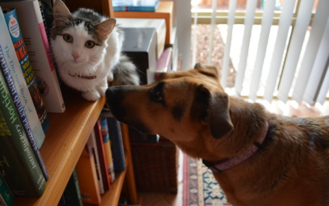 Овнам пора что-то менять, а Дев ждут отношения: гороскоп для всех на неделю