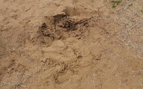 В Котельничском районе пропадают Жуковлянские валуны