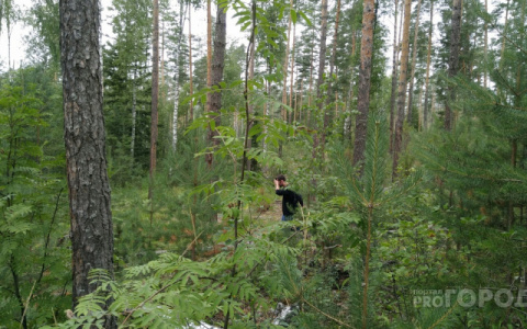 В Кировской области в лесу нашли двух пропавших подростков