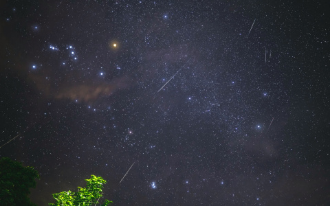 Кировчане увидят звездопад