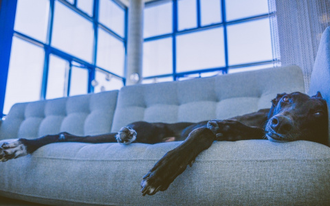 Львы найдут баланс, а Скорпионы вспомнят о прошлом: гороскоп на пятницу