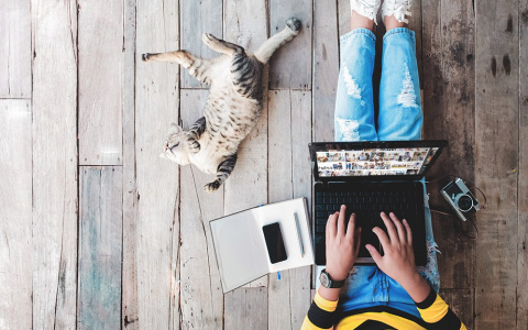 «АльфаСтрахование» при поддержке Билайн запустила услугу страхования домашних животных «Зоополис Лайт»