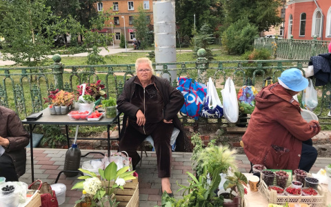 Торгующие у кировских магазинов бабушки ответили на нападки в соцсетях