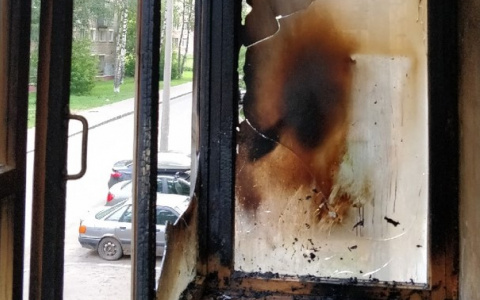 Благодаря кошке жителям Кирова удалось спасти свою квартиру от пожара