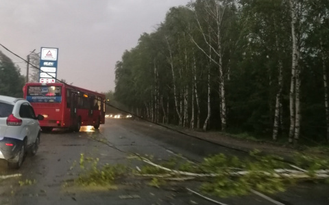 Сломанные деревья, оборванные провода и закрытый на два часа переезд: итоги урагана в Кирове