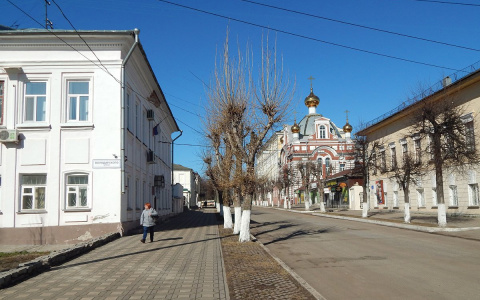 Кировчане голосуют за создание пешеходной зоны на улице Московской