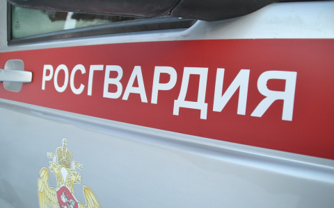 В Кирове на Ленина молодой человек искал наркотики, но попался росгвардейцам