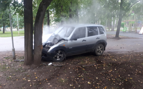 Очевидцы: в Кирове около ДК «Родина» машина наехала на дерево