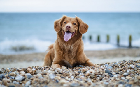 Овны нарвутся на неприятности, а Скорпионов ждет прибыль: гороскоп на неделю