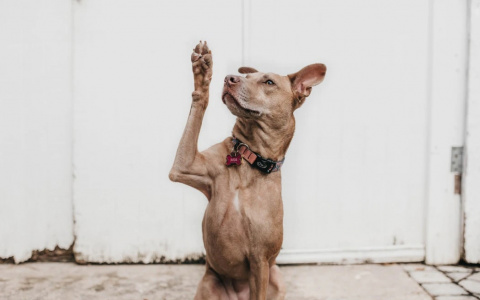 Львы зададут жару, а Водолеям нужно побыть одним: гороскоп на вторник