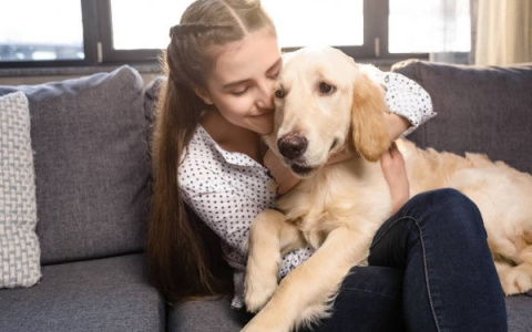 Как быть уверенным, что с питомцем во время отъезда ничего не случится?