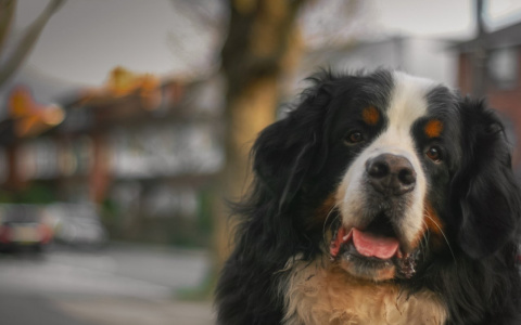Водолеи окажутся в одиночестве, а Тельцов ждет крутой поворот: гороскоп на среду