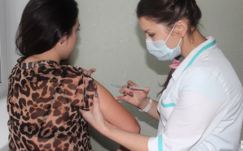 В России выявлено 300 организаций, которые готовы продать поддельный сертификат о вакцинации