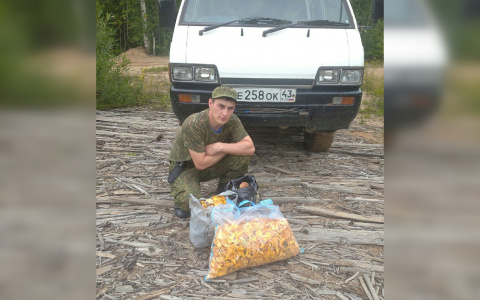 Грибные места Кировской области: куда ехать за хорошим «уловом»