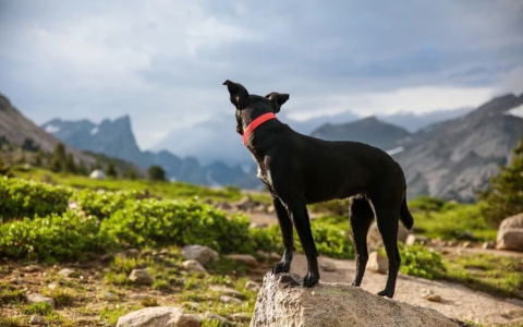 Раки будут на пределе, а Львов ждет резкий поворот судьбы: гороскоп на пятницу
