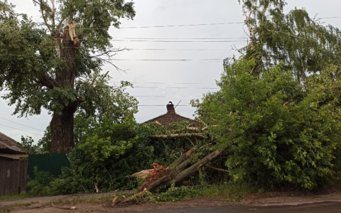 Кировчан предупреждают об опасных погодных явлениях