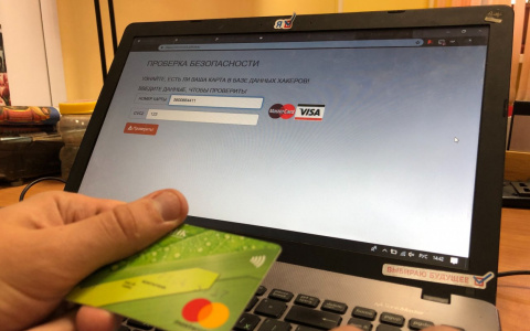 В Кировской области женщина потеряла большую сумму денег, покупая щенка