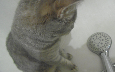 В Кирове без водоснабжения остались два района