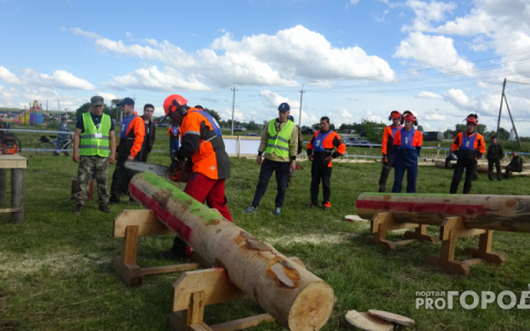 В Кировской области вальщик леса случайно убил своего помощника