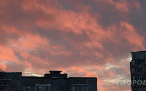 Возбуждены уголовные дела по факту неприятного запаха в Кирове