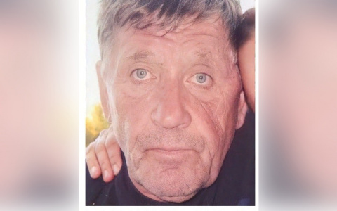 В Кировской области мужчина ушел в лес и не вернулся: идут поиски