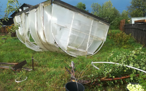 В Кировской области ураганный ветер переворачивал теплицы и ломал деревья