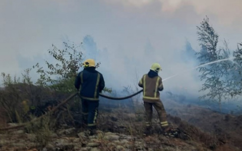 Кировские пожарные помогают тушить лесной пожар в Марий Эл