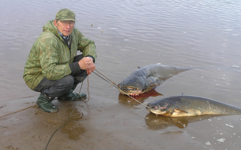 «Друга ударило током, и он потерял сознание»: кировчанин рассказал, с какими опасностями сталкиваются рыбаки