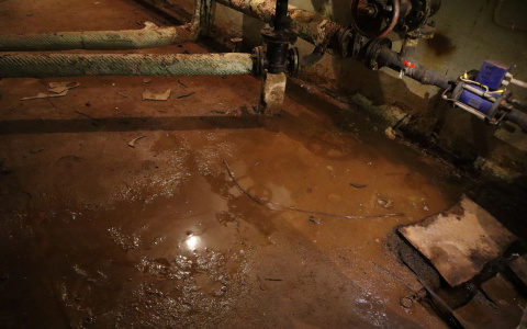 В Кирове дом с мухами на улице Воровского проверит жилищная инспекция