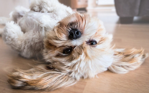 Водолеи столкнутся с недопониманием, а Рыбы выйдут из зоны комфорта: гороскоп на вторник