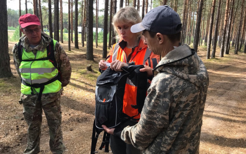 «Перед походом в лес проверьте телефон»: советы кировских спецслужб для грибников
