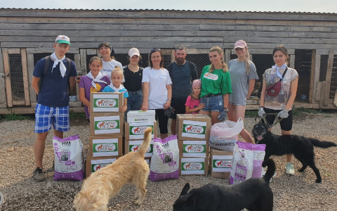 «Мы не могли представить, что получится собрать столько корма!»