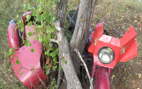 В Кировской области женщина на мотоцикле врезалась в дерево и погибла